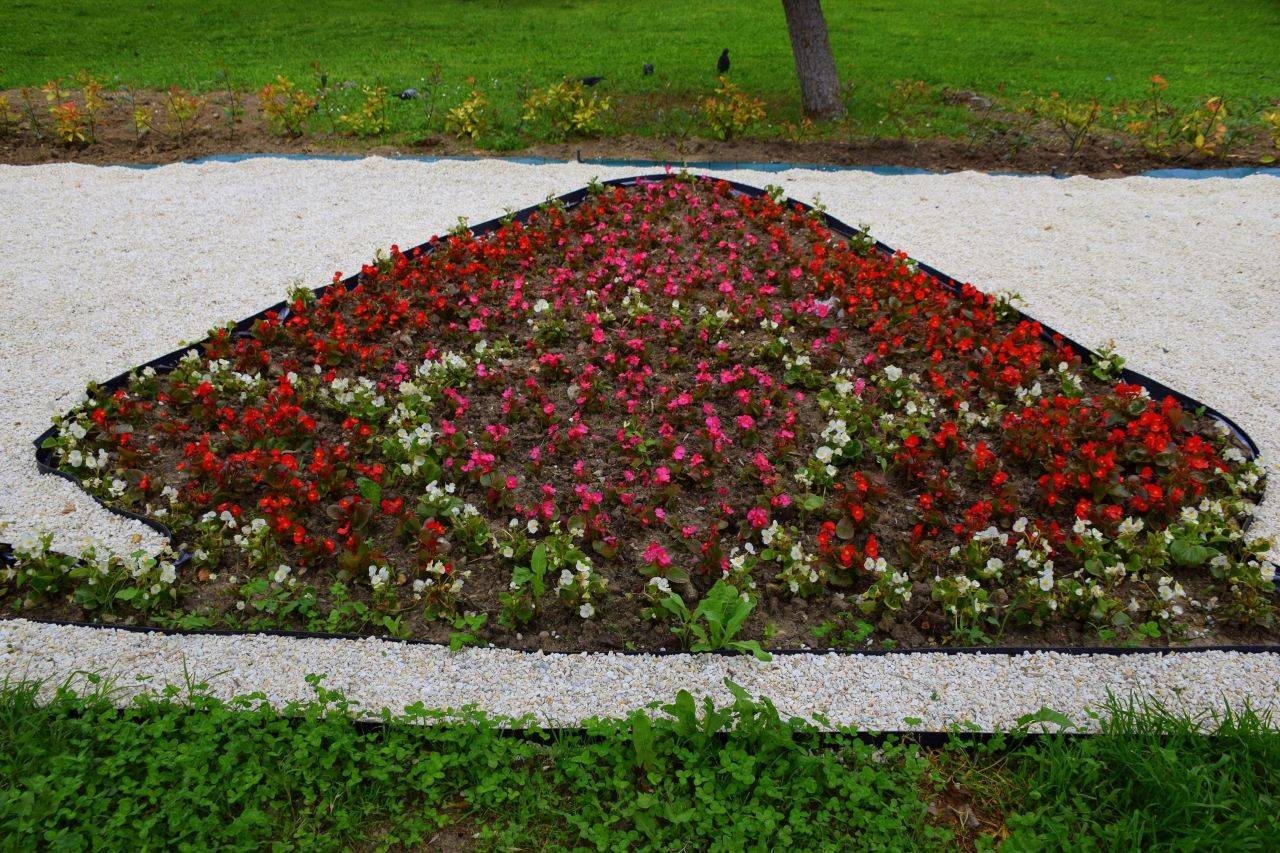 Пъстър килим от цветя привлича погледите в Градския парк на Асеновград